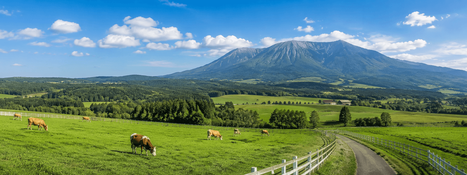 岡山の蒜山高原をイメージした風景